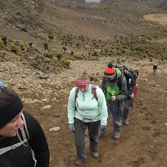 tourhub | Gracepatt Ecotours Kenya | 6 Days Mount Kenya Hiking- Chogoria Route  