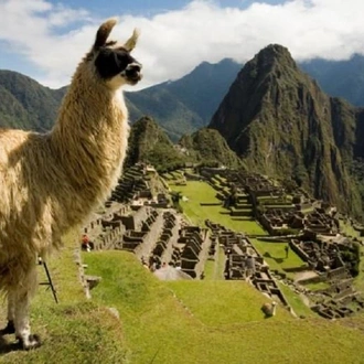 tourhub | Tangol Tours | 8-Day Lima and Cusco Unique Package 