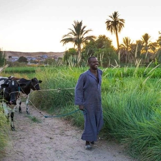 tourhub | Wild Frontiers | Egypt: Slow Boat to Aswan (New Year Departure) 