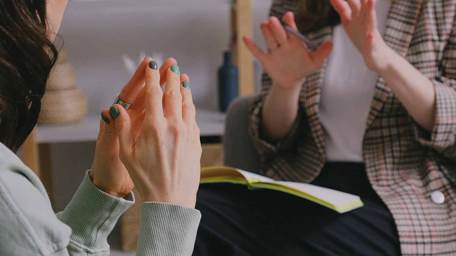 Représentation de la formation : TP CIP CCP3 - Mettre en œuvre une offre de services auprès des employeurs pour favoriser l'insertion professionnelle