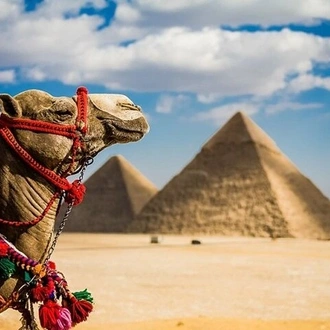 tourhub | Your Egypt Tours | 5 days 4 nights tour of the best of Cairo and Alexandria 