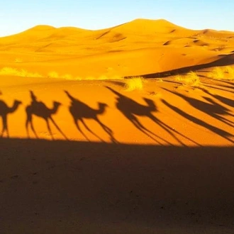 tourhub | Bamba Travel | Merzouga Gorges & Deserts Private Adventure 3D/2N (Marrakech to Fes) 