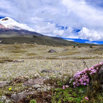 tourhub | Exodus Adventure Travels | Highlights of Ecuador: Andes to Amazon 