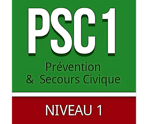 Représentation de la formation : Formation Prévention et Secours Civiques - Niveau (PSC1)