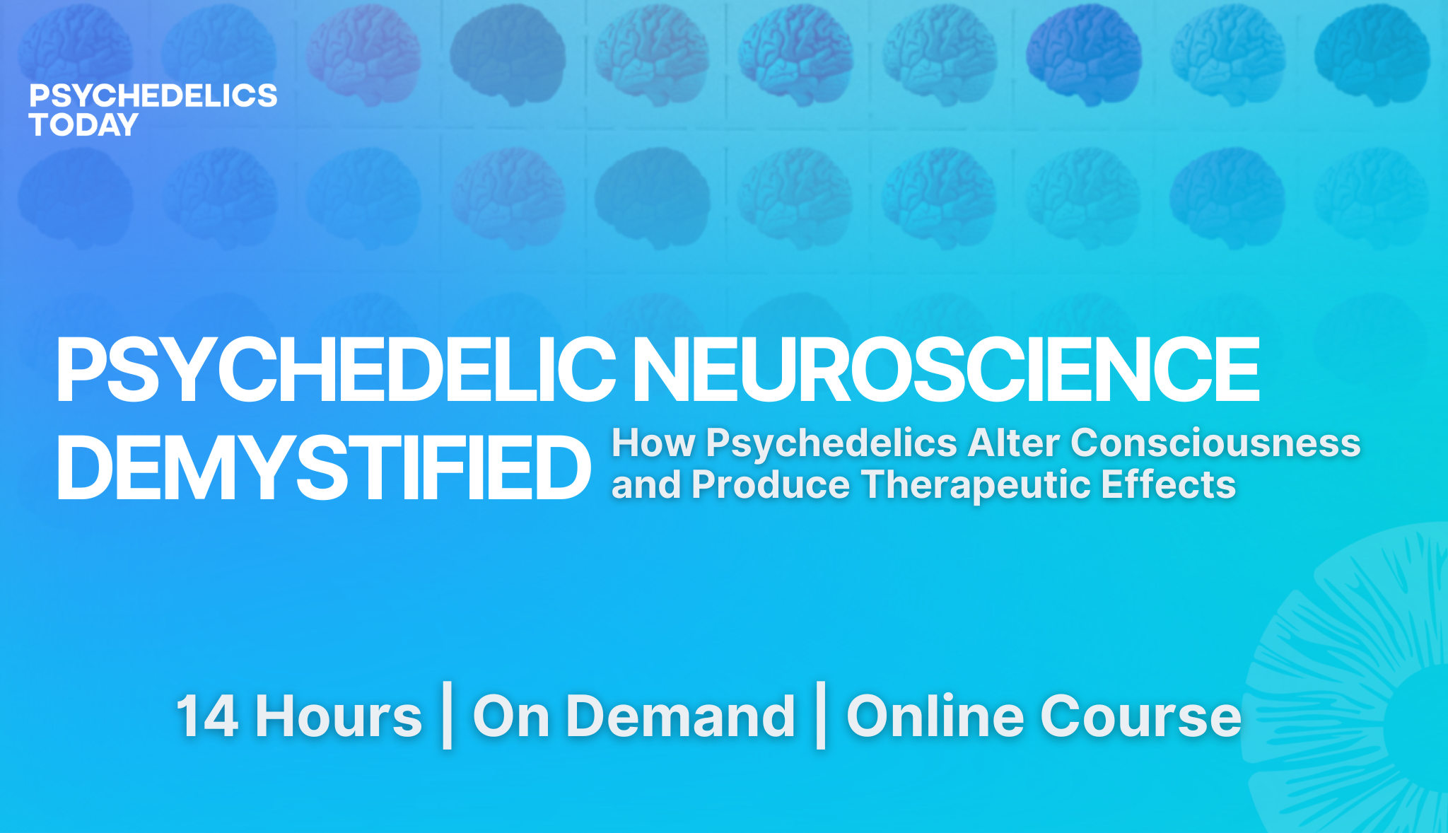 Psychedelic Neuroscience Demystified