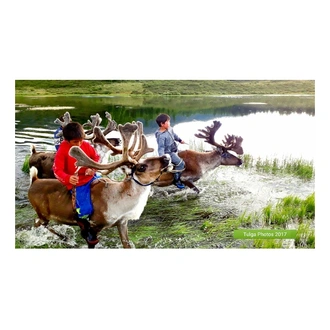 tourhub | Crooked Compass | Reindeer Tribes of Mongolia 
