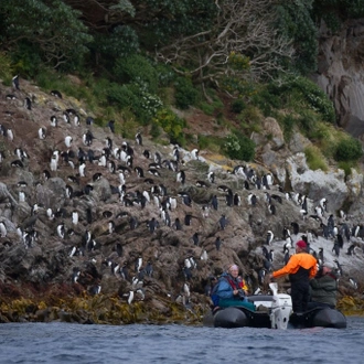 tourhub | Heritage Expeditions | Beyond Fiordland 