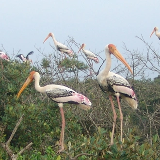 tourhub | Agora Voyages | Delhi to Agra & Bharatpur Bird Sanctuary Tour 