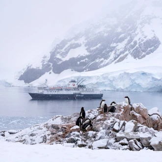 tourhub | Intrepid Travel | Best of Antarctica: Pristine Wilderness (Ocean Endeavour) 