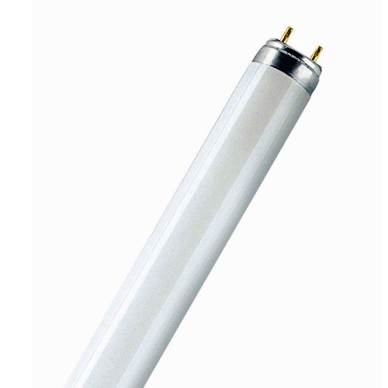 Leuchtstoffröhre, 10 Watt, passend zu Insektenvernichter HB4001020, 4,46 €