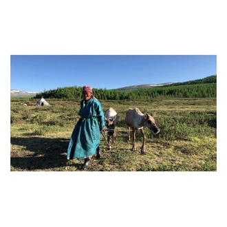 tourhub | Crooked Compass | Reindeer Tribes of Mongolia 