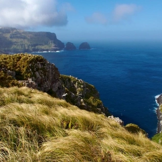 tourhub | Heritage Expeditions | Galapagos of the Southern Ocean 