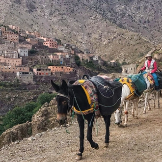 tourhub | Intrepid Travel | Mount Toubkal Trek 