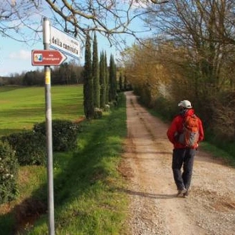 tourhub | UTracks | Via Francigena: Lucca to Siena 