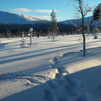 tourhub | Exodus Adventure Travels | Cross-Country Skiing in Lapland 