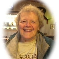 Judy Williams Profile Photo