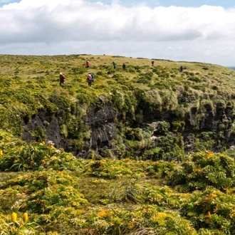 tourhub | Heritage Expeditions | Birding Down Under 