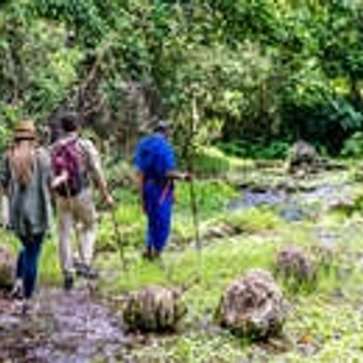 tourhub | Wild Frontiers | Tanzania: Safari, Serengeti & Maasai Heartlands 