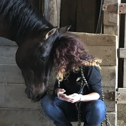 Equine Facilitated Learning (EFL)Horse Session