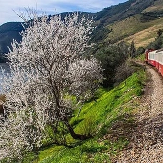 tourhub | Travel Editions | Almond Blossom and the Gardens of the Douro Valley Tour 