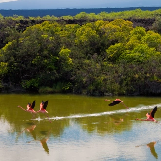 tourhub | Exodus Adventure Travels | Galapagos Encounter - Archipel I (Itinerary A) 