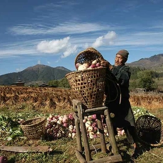 tourhub | Bhutan Acorn Tours & Travel | Discover Bhutan & Nepal 