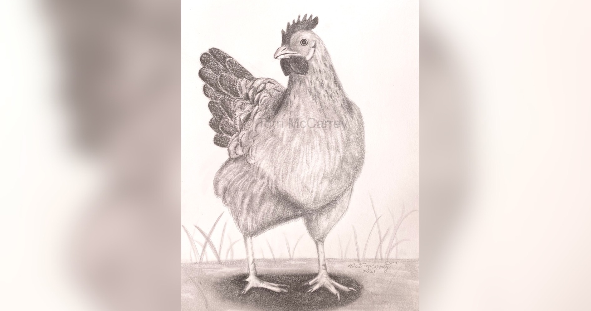 how to draw a realistic chicken