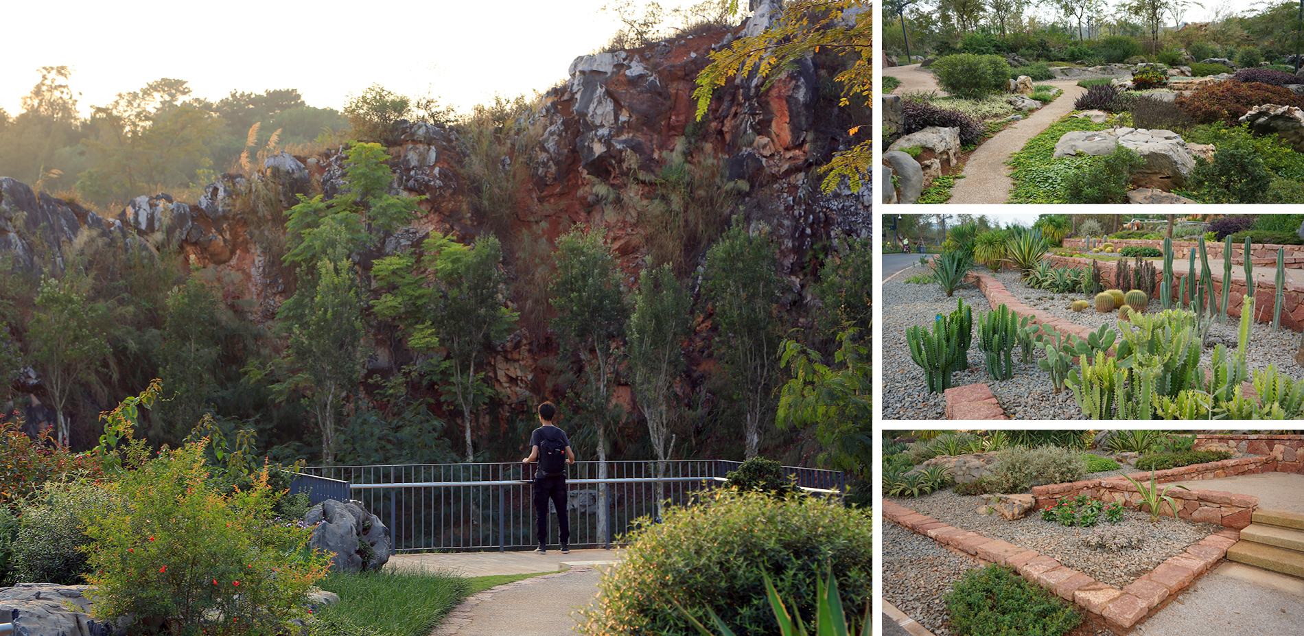 A Rock Garden Showcasing the Biodiversity (Quarry No. 3)
