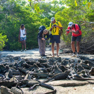 tourhub | Intrepid Travel | Galapagos & Inca Trail Adventure 