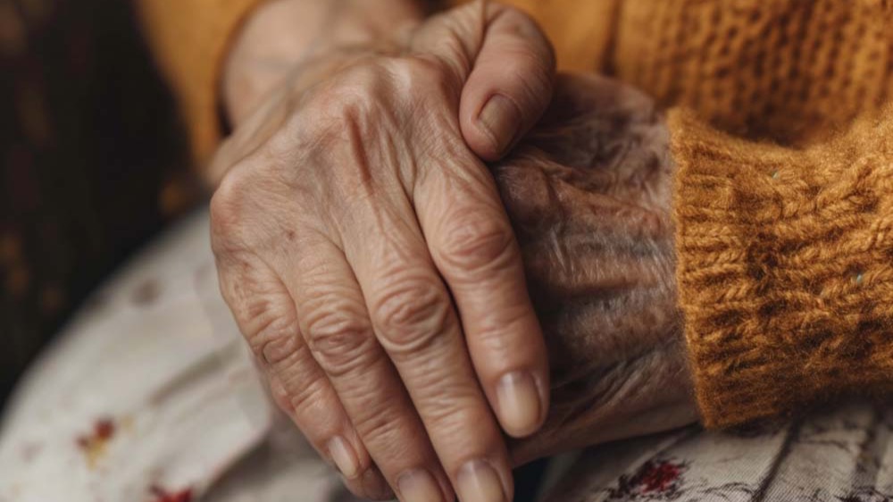 Représentation de la formation : Gestion des comportements et des troubles cognitifs dans la maladie d'Alzheimer