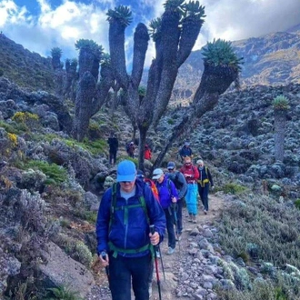 tourhub | Mbega African Safaris | 5 Days Kilimanjaro Climb Marangu Route 