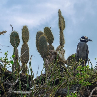 tourhub | G Adventures | Machu Picchu & the Galápagos Islands aboard the Yolita 