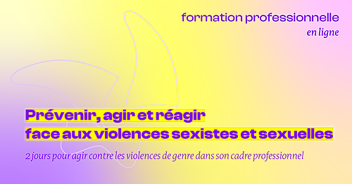 Représentation de la formation : Prévenir, agir et réagir face aux violences sexistes et sexuelles