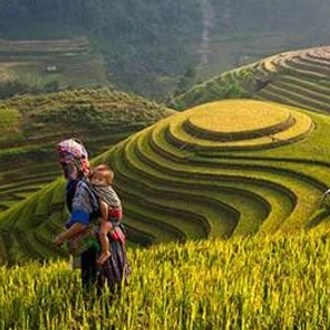 tourhub | Mr Linh's Adventures | Mu Cang Chai trekking 4 days 3 nights 