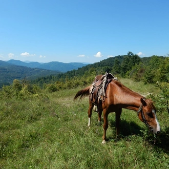 tourhub | Penguin Travel | Balkan Village Trek (8 days progressive ride in Teteven Balkan area) 