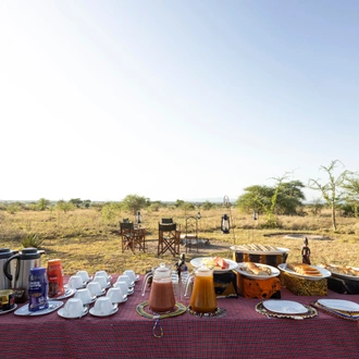 tourhub | Beach and Safari Holidays | Tanzania's Iconic Safari Adventure: From Savannah to Crater 