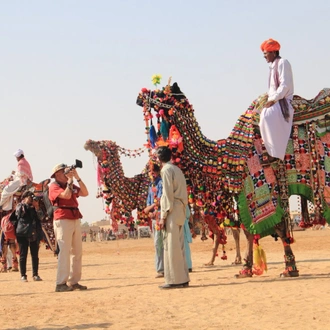 tourhub | Panda Experiences | Rajasthan Tour from New Delhi 