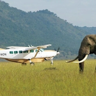 tourhub | Gracepatt Ecotours Kenya |  3 Day Masai Mara Safari Flying Package 