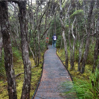 tourhub | Intrepid Travel | Walk Tasmania's Bay of Fires 