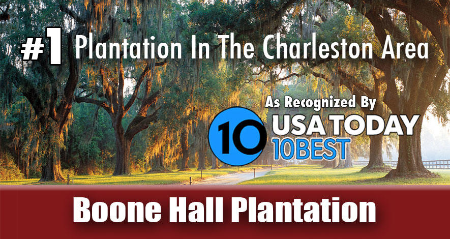 Combo: Charleston Harbor Tour & Boone Hall Plantation Tour