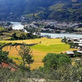 Druk Path Trek and Cultural Tour In Pristine Bhutan