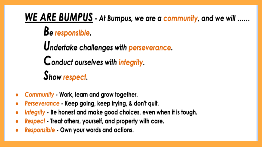 We are Bumpus core values