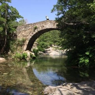 tourhub | UTracks | Crossing Corsica 