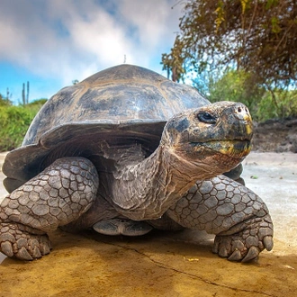 tourhub | Ecuador Galapagos Travels | 7 Days Galapagos Expedition: San Cristobal & Santa Cruz Island 