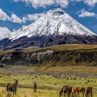 tourhub | Today Voyages | Xplore Ecuador & Galapagos Islands 