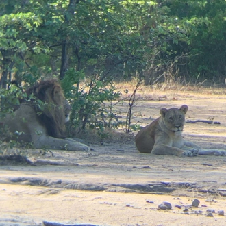 tourhub | YellowWood Adventures | Conservation safaris & Lake Malawi 