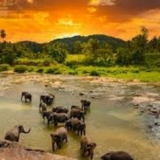 tourhub | Explore Vacations | Wonderful Sri Lanka 