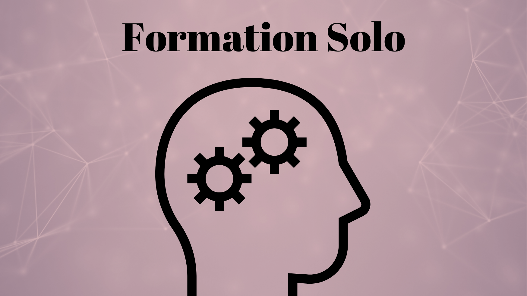 Représentation de la formation : Formation Tempo Solo + Pronounce