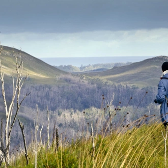 tourhub | Intrepid Travel | Walk Tasmania's Tarkine & Cradle Mountain 