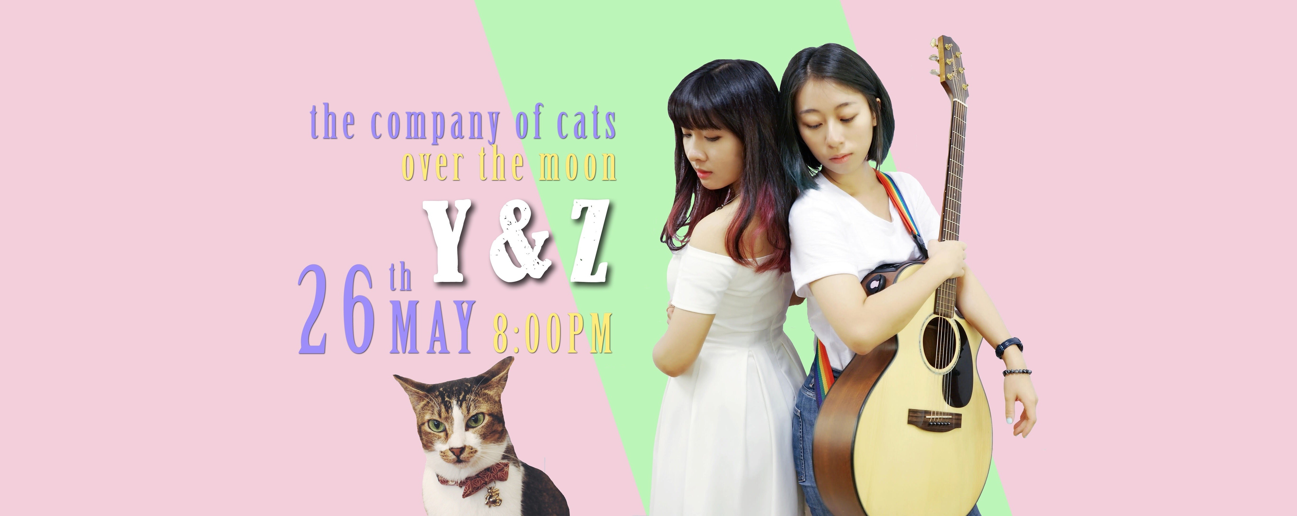 Bi-monthly Mewsic Series - Y & Z at The Company of Cats